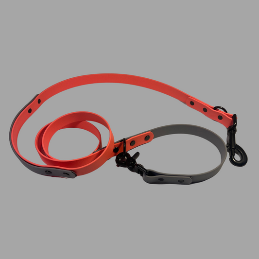 Biothane Tie Out Leash with Traffic Handle