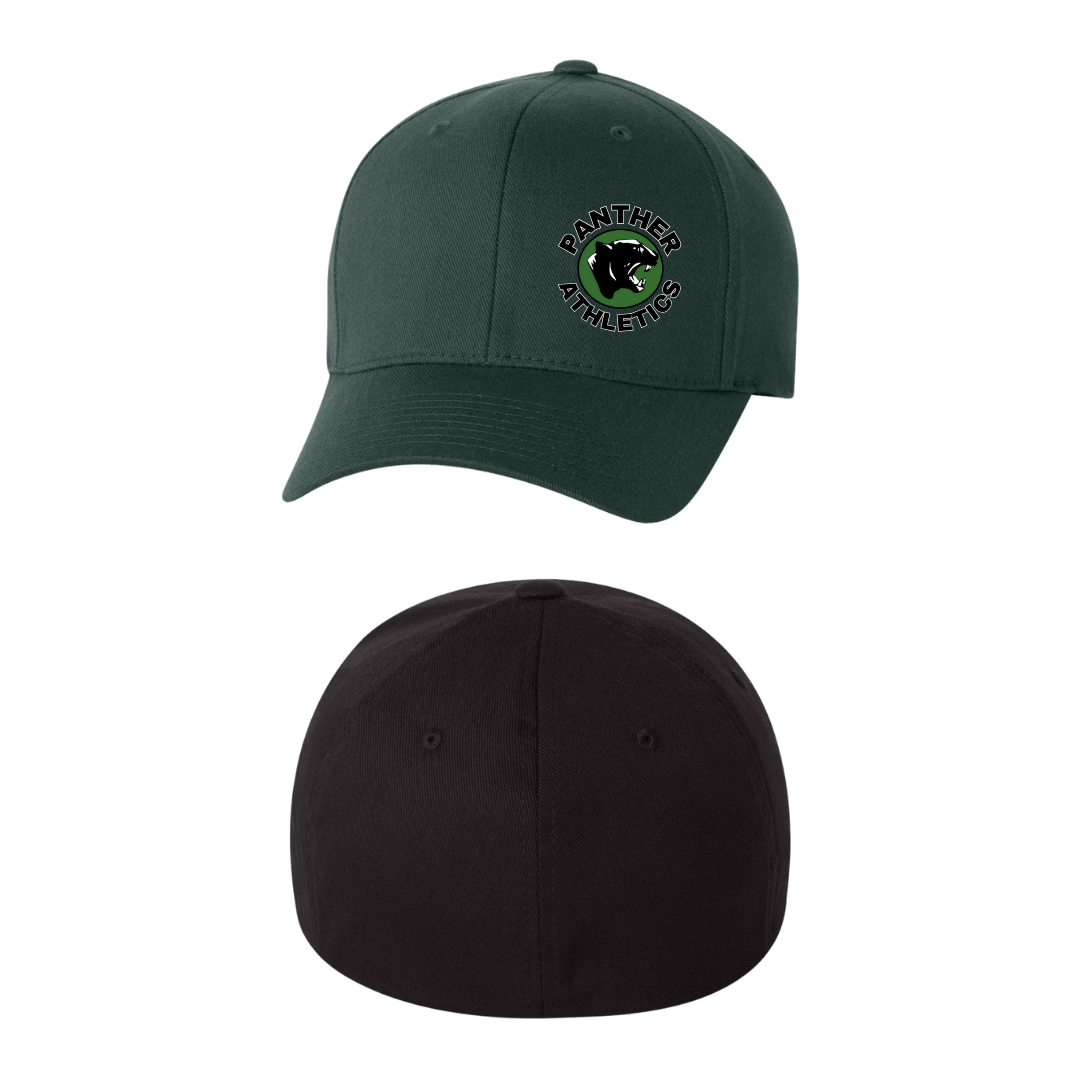 PANTHERS FLEXFIT HAT