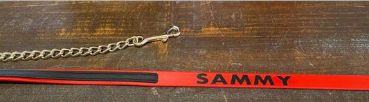 2 Tone Beta Lead W/ Non Rusting Chain