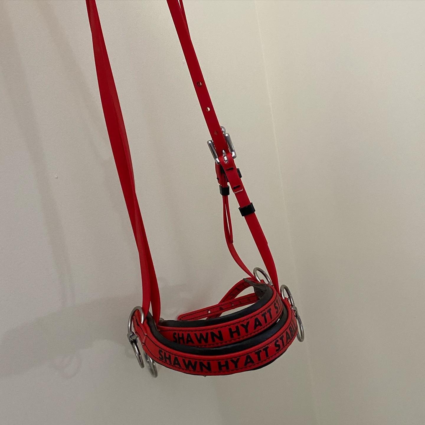 Head Halter (Race Halter)