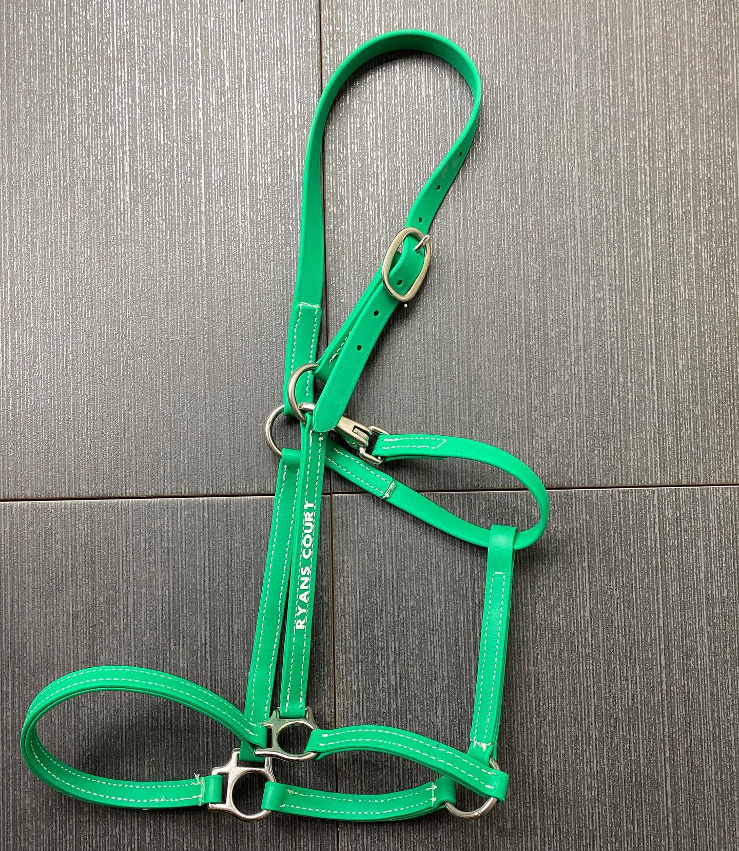 3/4" Beta Halter (No Padding)