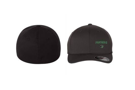 PANTHERS BALL FLEXFIT HAT
