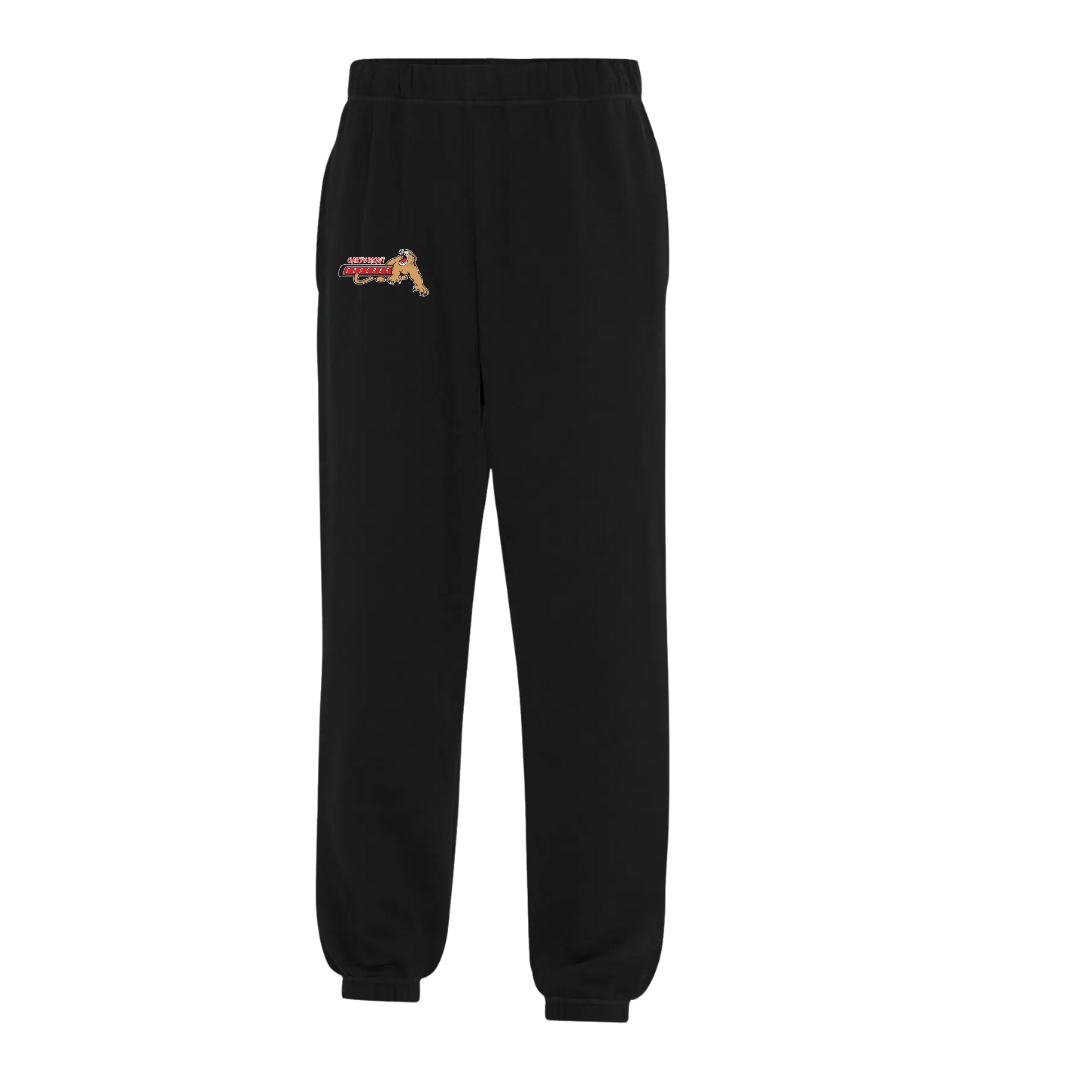 COUGARS ATC COTTON SWEATPANTS