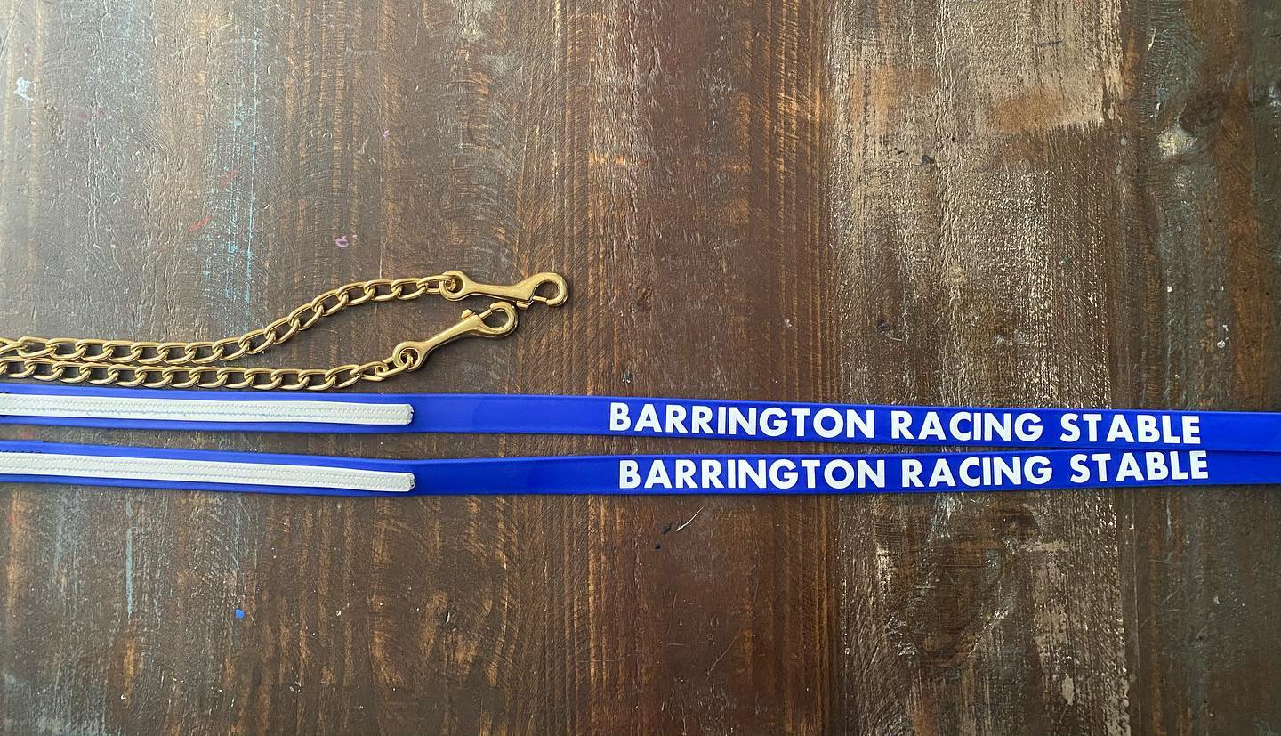 2 Tone Beta Lead