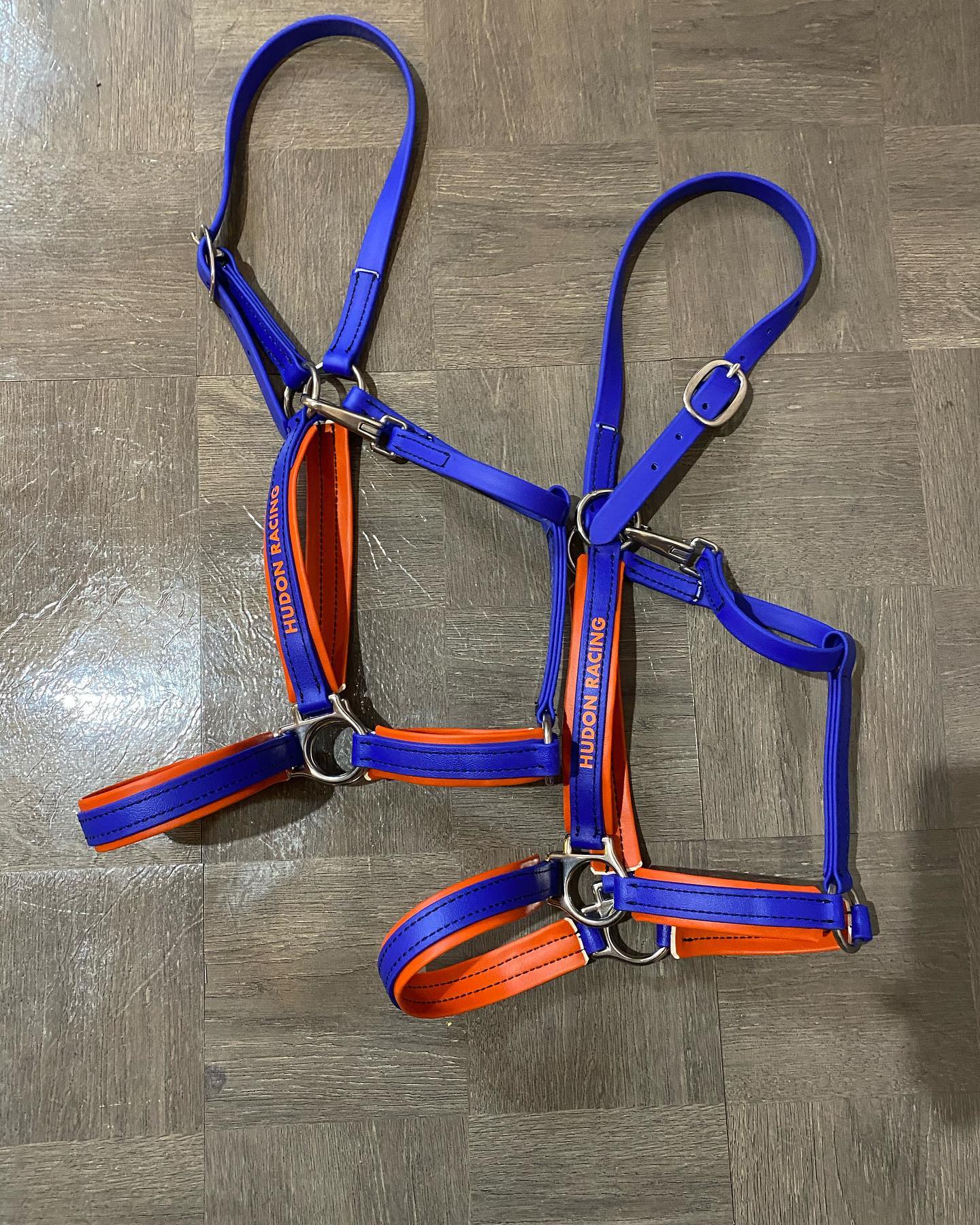 Halter With Padding All Over