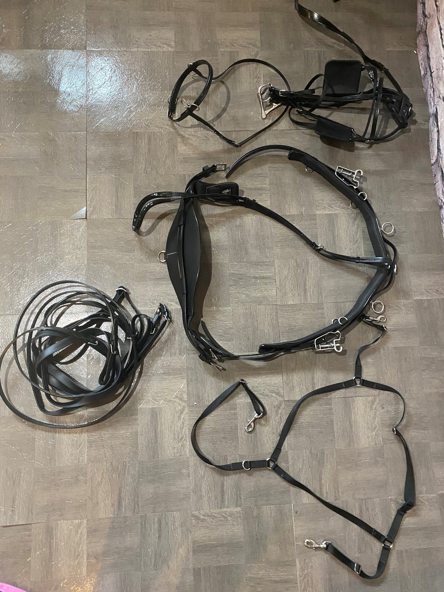Black Harness