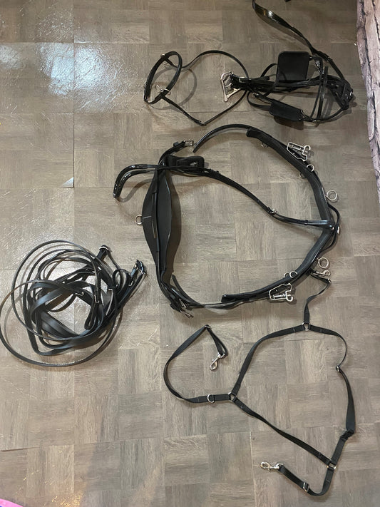Black Harness